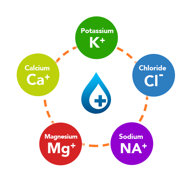 The Importance Of Electrolytes